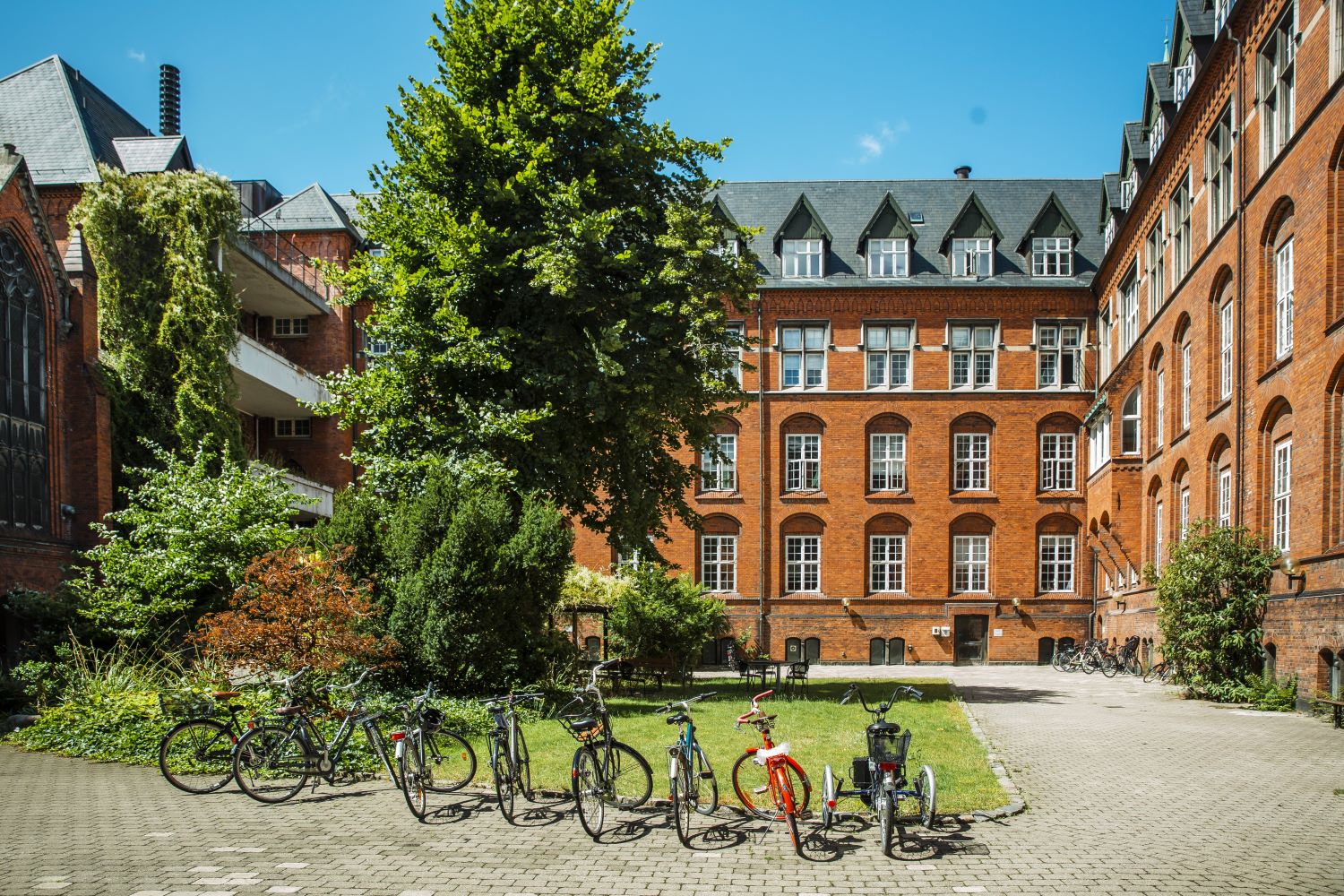 Cykler parkeret i gården.